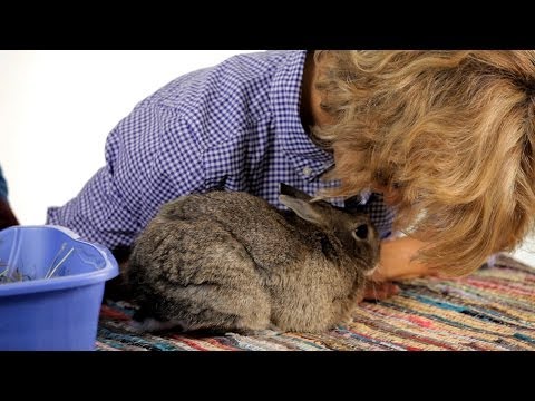 how to locate an odor in your house