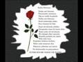 cansever bu sehirde yasanmaz