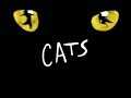 best of cats musical