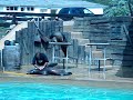 Parque de Cab�rceno . Cantabria