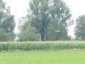 ooievaar ooievaar