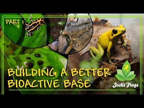 YouTube reptile video