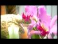 Natalia Oreiro, Backstage at Revista Sussana - free flv video @ vwatch.tv