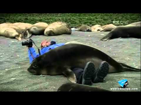 Regardez cette vidéo Regardez cette vidéo