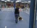 2nd CD leg at NOI Reg. Qualifiers held at SPDTC (Score 190)
