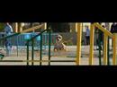 AGILITY CLUB COASTA BLANCA , ALICANTE