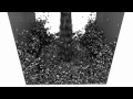 Lagoa Multiphysics 1.0