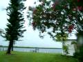 Crazy Kiwi - Storm Chasing Matlacha Florida Crazy Kiwi - Storm Chasing Matlacha Florida