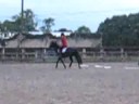 Midnight lesson trot/canter
