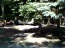Robin Drive