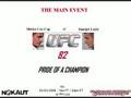 Mirko Cro Cop vs Danijel LuÄić