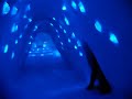 Ice Hotel, Lapland 2008