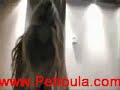 Carmen Electra Original Home Video!!! MUST SEE!!!!!!