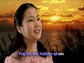 Puas Xav Tau Zoo Nqi Zog music video