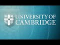 Entropy and H theorem: The mathematical legacy of Ludwig Boltzmann