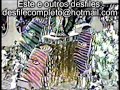 1986 MOCIDADE - desfilecompleto@hotmail.com