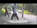 videos de Lung-Hsing Bagua Zhang,3