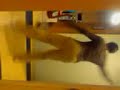Spongebob dance: Jus Havin Fun- Big Gurl