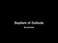 Baptism of Solitude - Buckethead