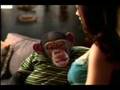 Monkey-flirting