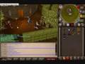 Runescape Espanjol Comedy