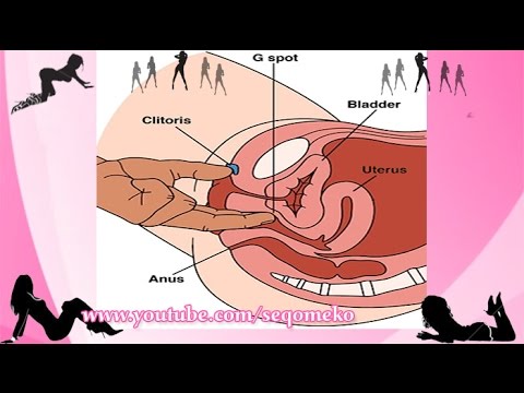 g-spot