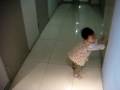 ???????(2008-12-31/12M) ???????(2008-12-31/12M)