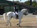 2008 Gotland lag SM Calabash 2