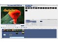 Ulead VideoStudio Video Tutorial - Ripple Editing Ulead VideoStudio Video Tutorial - Ripple Editing