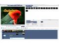 Ulead VideoStudio Video Tutorial - Ripple Editing