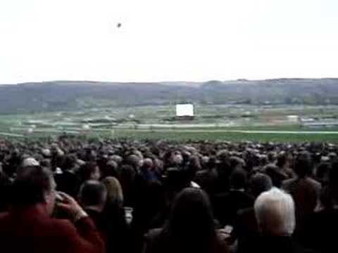 cheltenham race
