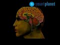 Comer, una adicción para el cerebro de personas obesas