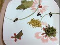 Vegetable Biryani with Yogurt.wmv