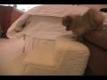 videos de AJ Baby Love 03