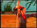 CABALLOS-FLAMENCO-GARROCHA