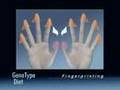 The GenoType Diet: Determining Fingerprint Patterns