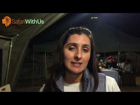 Kruger Budget Safari and Tour - 4 day