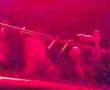 videos de pocholo en amnesia