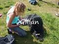 Richmond Park Briard-a-Thon 22.06.08 Richmond Park Briard-a-Thon 22.06.08