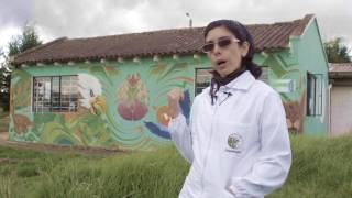 Documental Cuidado de fauna silvestre – Tu casa será su cárcel 1