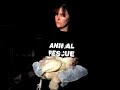 ALV Openrescue Parent Broiler Investigation