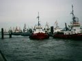 videos de tug, parking  procedure