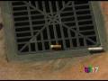 videos de Efectos Colillas De Cigarros