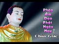 Ý Nghĩa 12 Lời Nguyện Tịnh Độ - Thích Nhật Từ