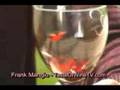 How to Taste Wine