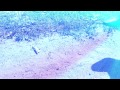 REveil (Saison 1 Épisode 1)