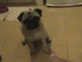 Blog do Rafinha Bastos - Walmor Chagas (20/04/2008)