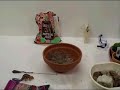 How to Make a Desert Terrarium How to Make a Desert Terrarium