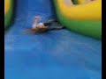 Rollie polly.3gp Rollie polly.3gp