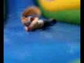 videos de Rollie polly.3gp